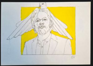Ritratto di Julian ASSANGE con colomba, 2024 disegno a matita , Pasquale Mastrogiacomo.