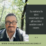 Pasquale Mastrogiacomo, aforisma 7